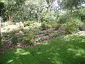DSC03881