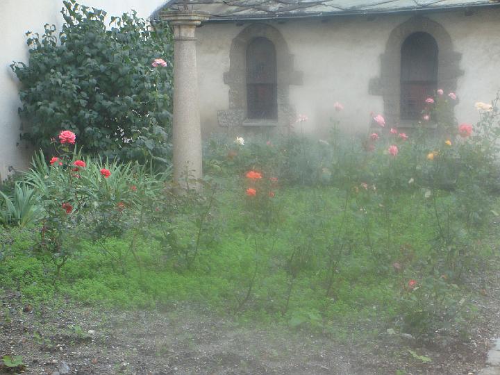 DSC00440.JPG