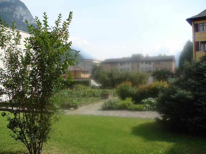 DSC00450.JPG