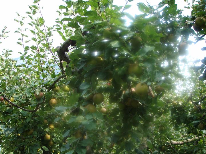 DSC00451.JPG