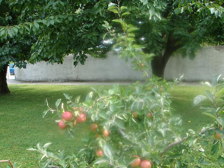 DSC00453.JPG