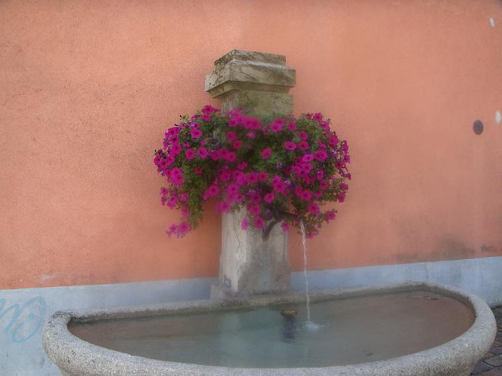 DSC00516.JPG
