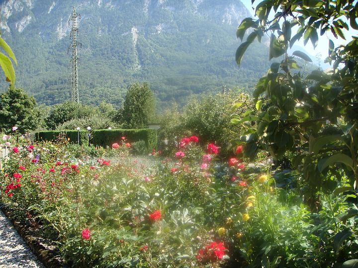 DSC00624.JPG
