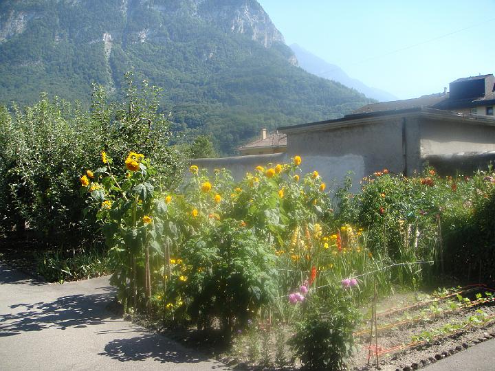 DSC00625.JPG