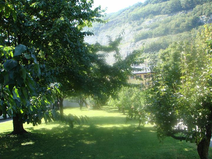 DSC00627.JPG