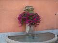 DSC00516