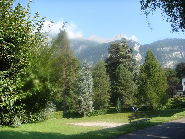 DSC00651.JPG
