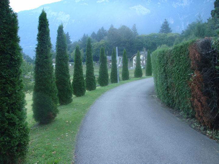 DSC00766.JPG