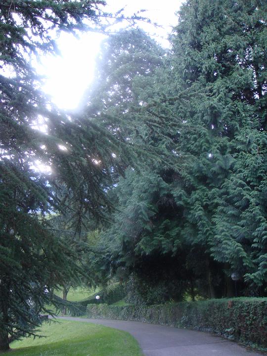 DSC00769.JPG