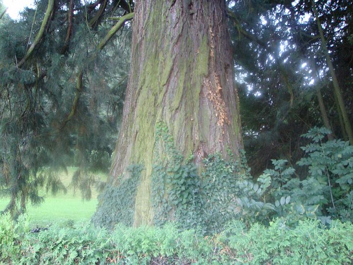 DSC00771.JPG