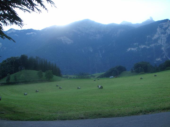 DSC00774.JPG