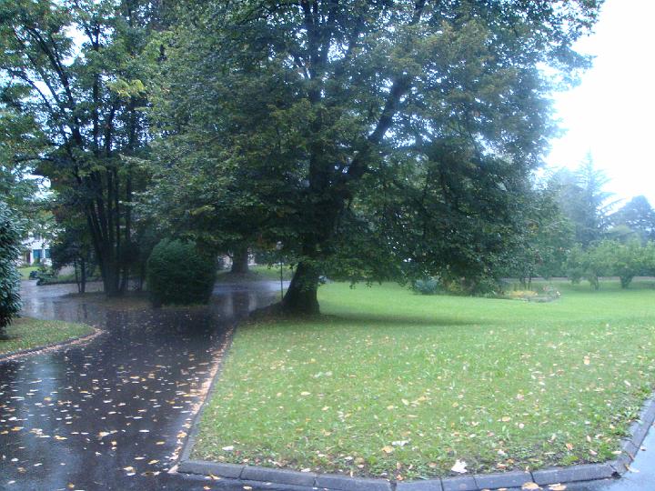 DSC00875.JPG