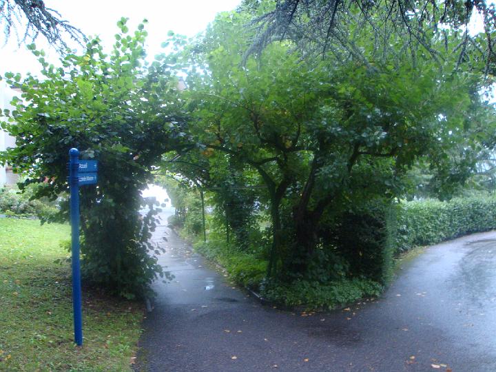 DSC00878.JPG