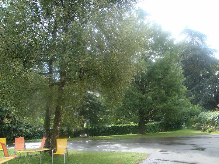 DSC00885.JPG
