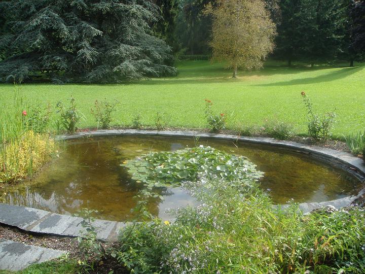 DSC00887.JPG