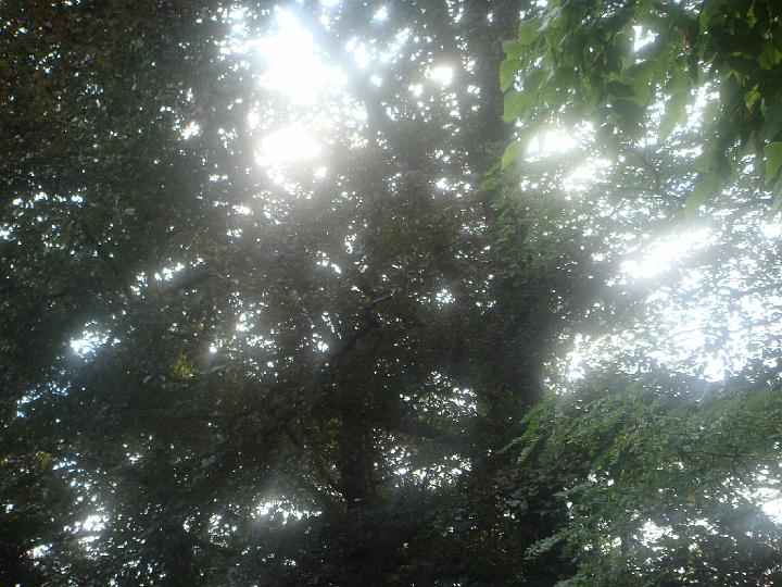 DSC00889.JPG