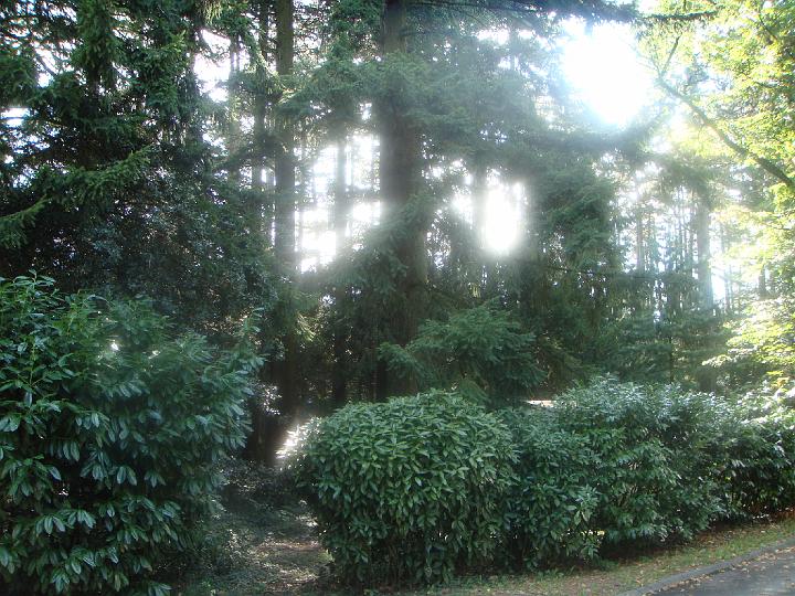 DSC00901.JPG