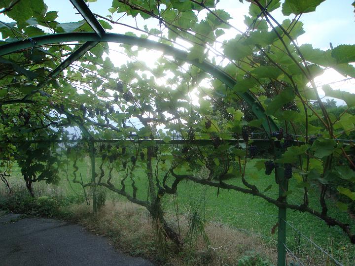DSC00902.JPG