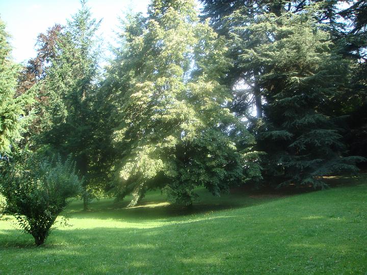 DSC00919.JPG
