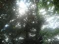 DSC00889