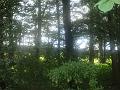DSC00890