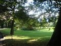 DSC00899