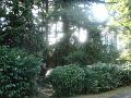 DSC00901