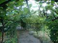 DSC00903