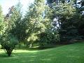 DSC00919