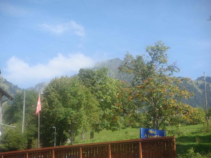 DSC00933.JPG