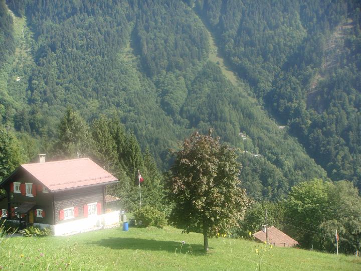 DSC00939.JPG