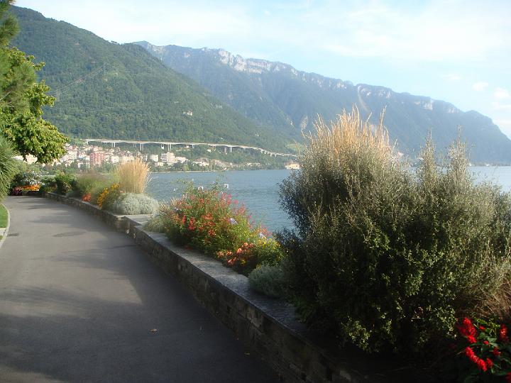 DSC01002.JPG