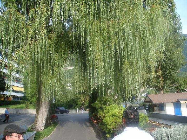 DSC01005.JPG