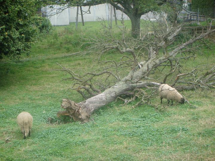 DSC01044.JPG