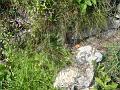 DSC00957