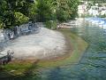DSC00985