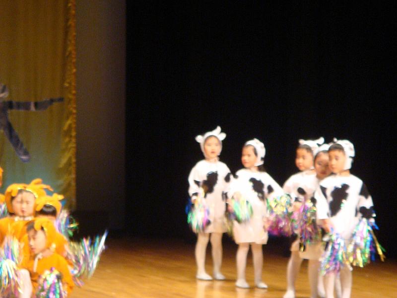 DSC08032.JPG