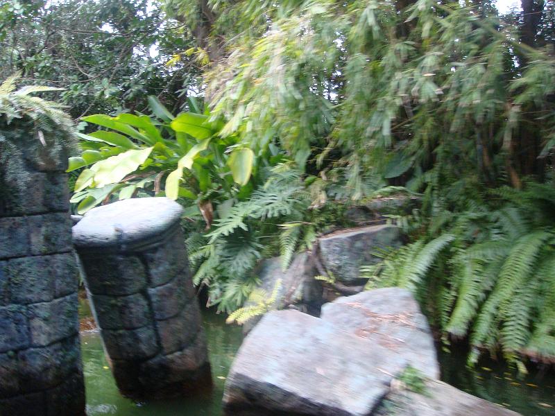ds_264.JPG