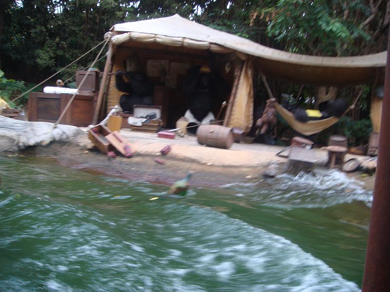 ds_269.JPG