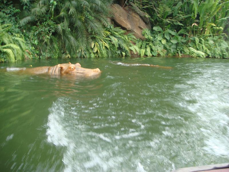 ds_274.JPG