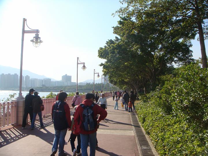 DSC03937.JPG