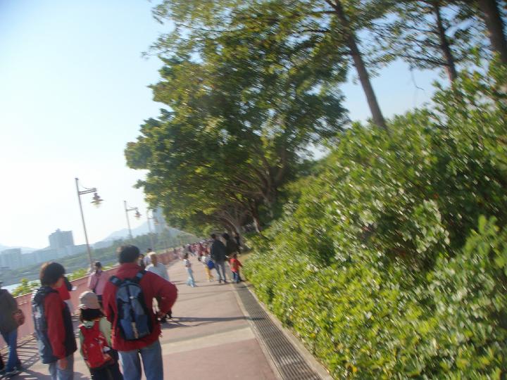 DSC03938.JPG