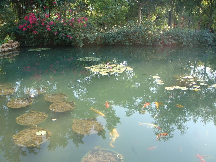DSC03947.JPG