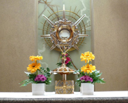 eucharistic_adoration_annunic.jpg